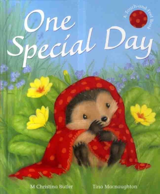 One Special Day, Hardback Book