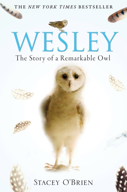 Wesley : The Story of a Remarkable Owl, EPUB eBook