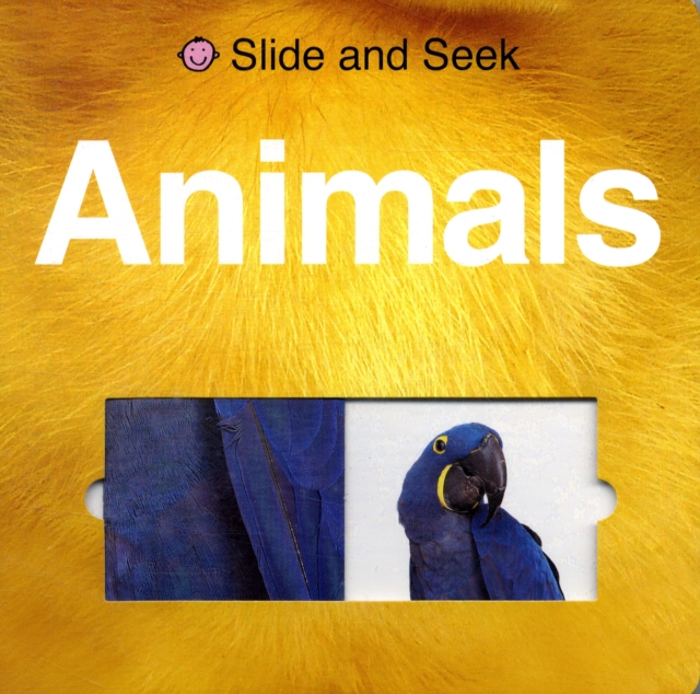 Slide & Seek Animals : Slide & Seek, Board book Book