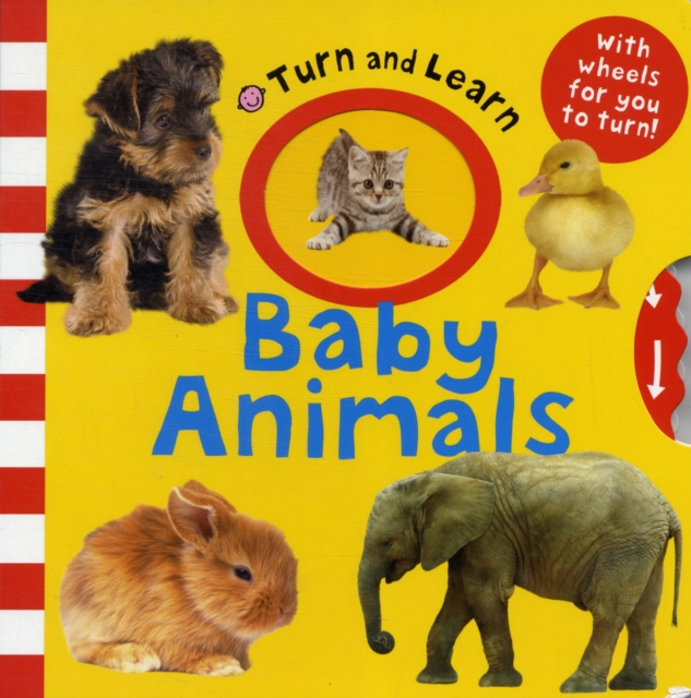 Baby Animals : Turn & Learn, Hardback Book