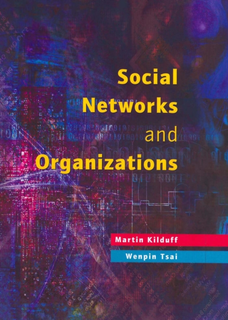 Social Networks and Organizations, PDF eBook