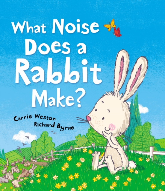 What Noise Does a Rabbit Make?, Hardback Book