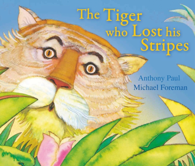 The Tiger Who Lost His Stripes, Paperback / softback Book
