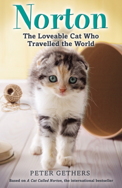 Norton, The Loveable Cat Who Travelled the World, Paperback / softback Book