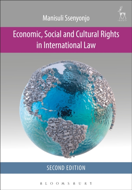 Economic, Social and Cultural Rights in International Law, Paperback / softback Book