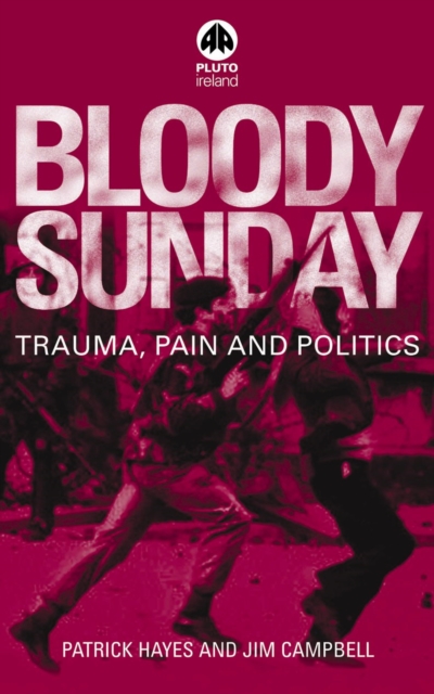 Bloody Sunday : Trauma, Pain & Politics, PDF eBook
