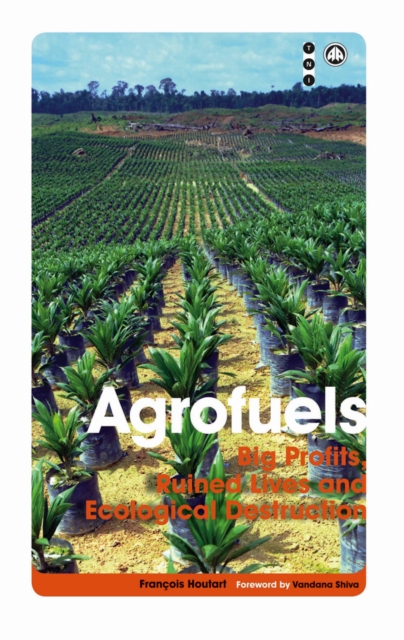 Agrofuels : Big Profits, Ruined Lives and Ecological Destruction, PDF eBook