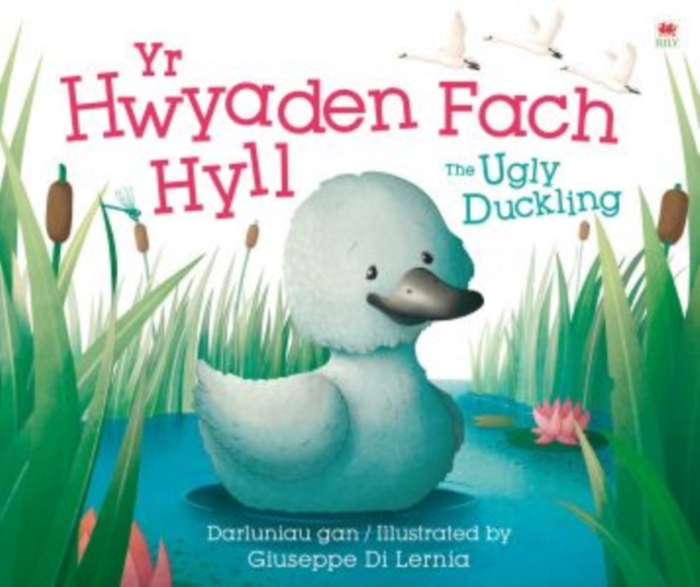 Hwyaden Fach Hyll, Yr / The Ugly Duckling, Paperback / softback Book