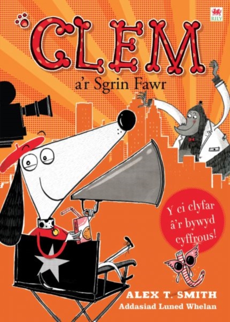 Cyfres Clem: 6. Clem a'r Sgrin Fawr, Paperback / softback Book