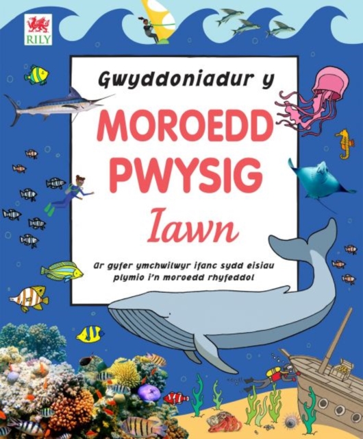 Gwyddoniadur y Moroedd Pwysig Iawn, Hardback Book