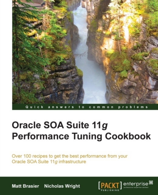 Oracle SOA Suite Performance Tuning Cookbook, EPUB eBook