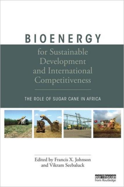 Bioenergy for Sustainable Development and International Competitiveness : The Role of Sugar Cane in Africa, Hardback Book