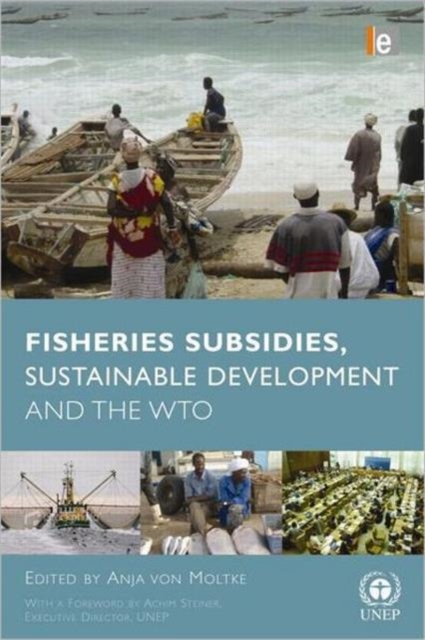 Fisheries Subsidies, Sustainable Development and the WTO, Hardback Book