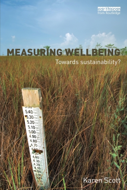 Measuring Wellbeing: Towards Sustainability?, Paperback / softback Book