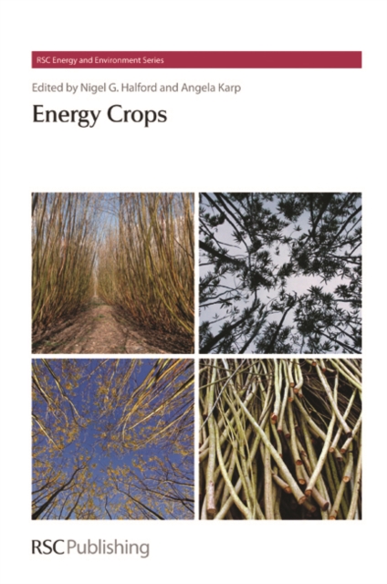 Energy Crops, PDF eBook