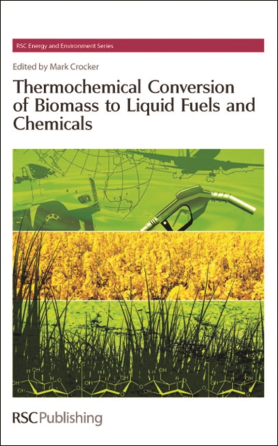Thermochemical Conversion of Biomass to Liquid Fuels and Chemicals, PDF eBook