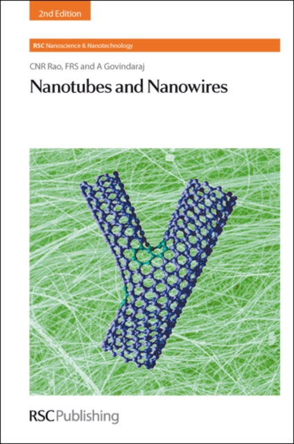 Nanotubes and Nanowires, PDF eBook