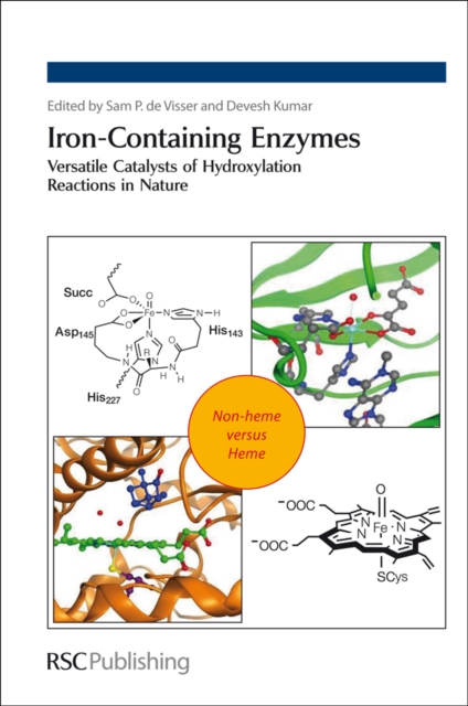 Iron-Containing Enzymes : Versatile Catalysts of Hydroxylation Reactions in Nature, PDF eBook
