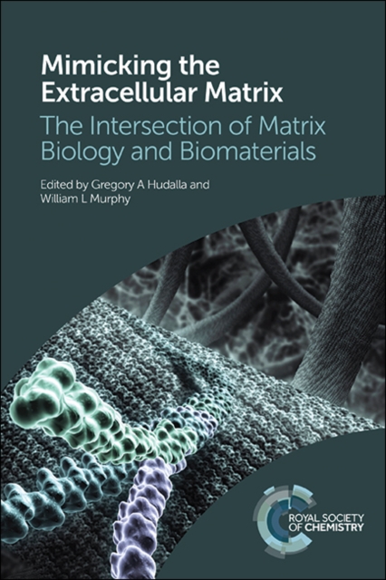 Mimicking the Extracellular Matrix : The Intersection of Matrix Biology and Biomaterials, Hardback Book