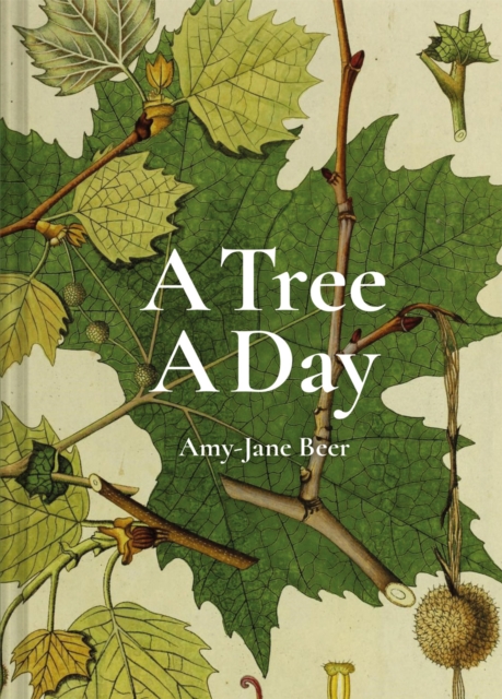 A Tree A Day, Hardback Book