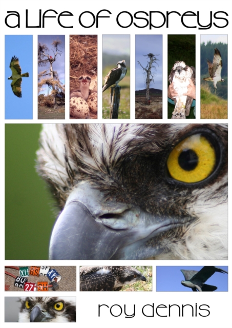 A Life of Ospreys, EPUB eBook