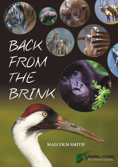 Back from the Brink, Paperback / softback Book