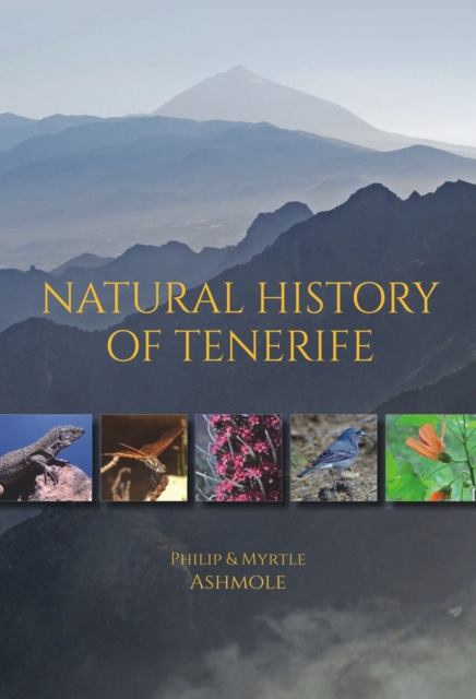 Natural History of Tenerife, Paperback / softback Book