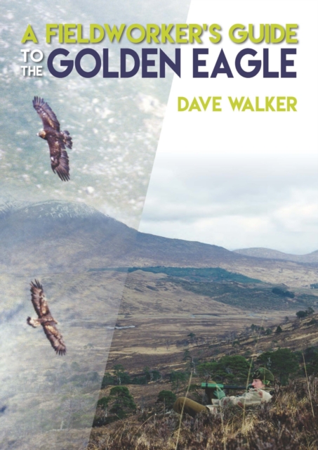 A Fieldworker's Guide to the Golden Eagle, EPUB eBook