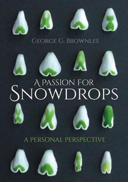 A Passion for Snowdrops : a personal perspective, Paperback / softback Book