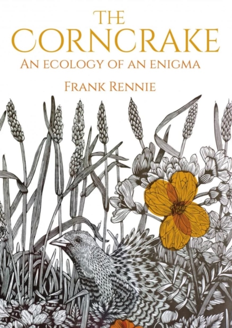 The Corncrake : An Ecology of an Enigma, Paperback / softback Book