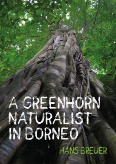 A Greenhorn Naturalist in Borneo, Paperback / softback Book