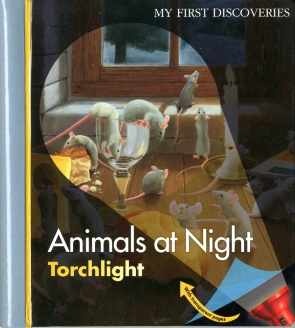 Animals at Night, Hardback Book