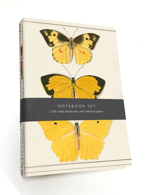 Butterfly Notebook Set : 3 A5 lined notebooks with stitched spines, Notebook / blank book Book