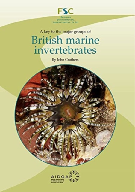 Key to the Major Groups of British Marine Invertebrates, Paperback / softback Book