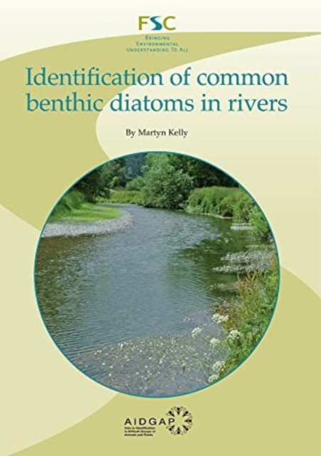 Identification of Common Benthic Diatoms in Rivers, Paperback / softback Book