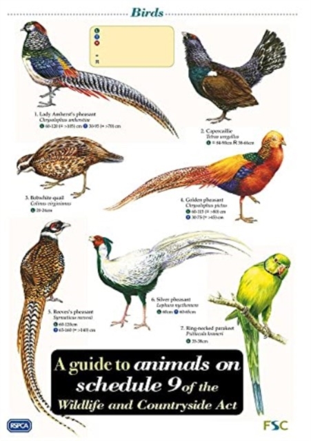 A Guide to Animals on Schedule 9 of the Wildlife and Countryside Act, Other printed item Book
