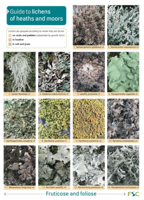Guide to Lichens of Heaths and Moors, Other printed item Book
