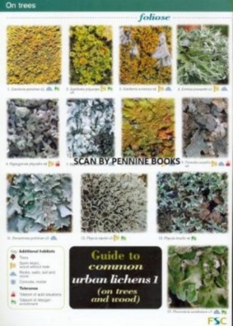 Guide to Common Urban Lichens : On Trees and Wood Pt. 1, Wallchart Book