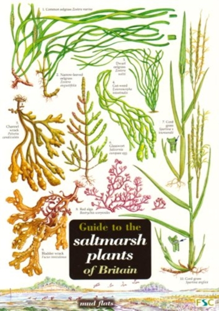 Guide to the Saltmarsh Plants of Britain, Wallchart Book