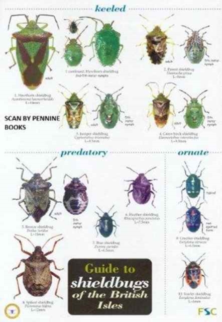 Guide to Shieldbugs of the British Isles, Paperback / softback Book
