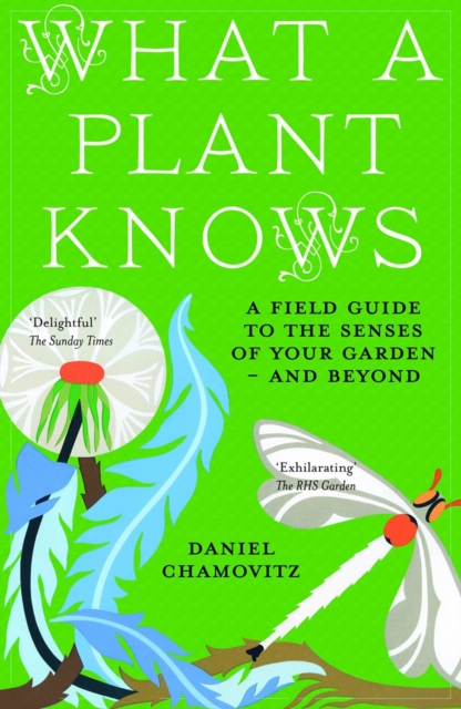 What a Plant Knows : A Field Guide to the Senses of Your Garden - and Beyond, Paperback / softback Book