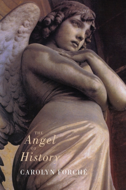 The Angel of History, Paperback / softback Book