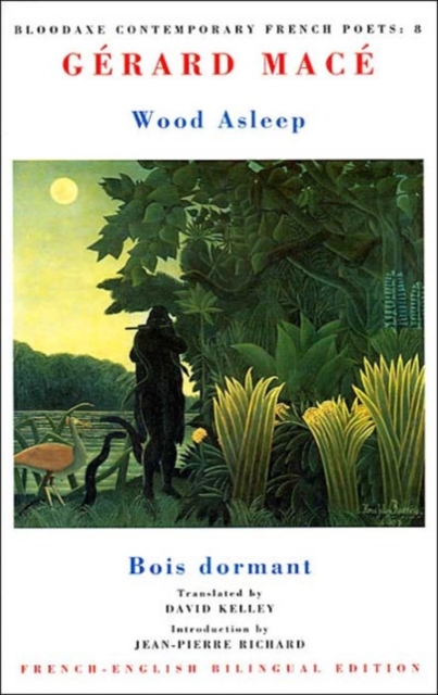Wood Asleep : Bois dormant, Paperback / softback Book
