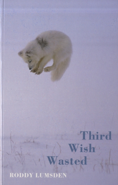 Third Wish Wasted, Paperback / softback Book