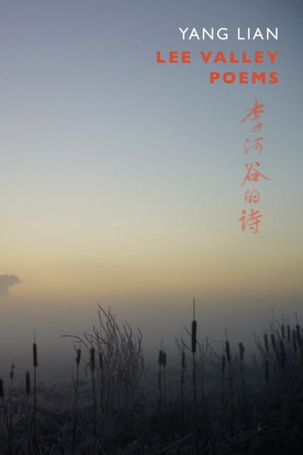 Lee Valley Poems, Paperback / softback Book