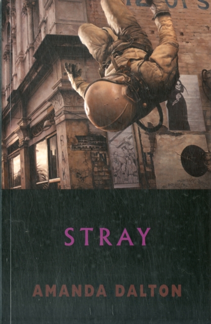 Stray, Paperback / softback Book