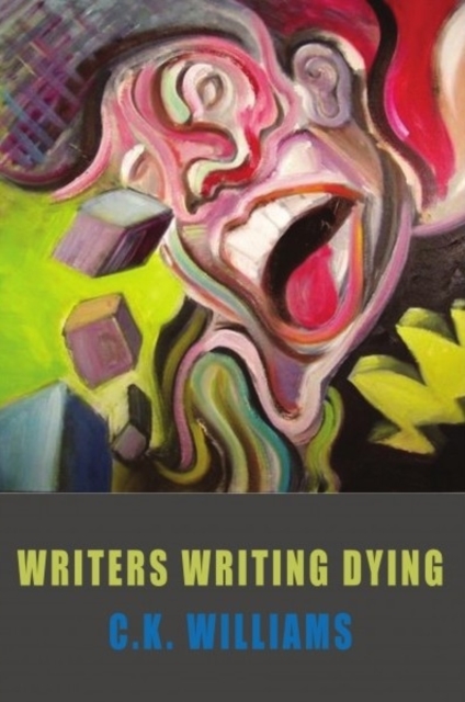 Writers Writing Dying, Paperback / softback Book
