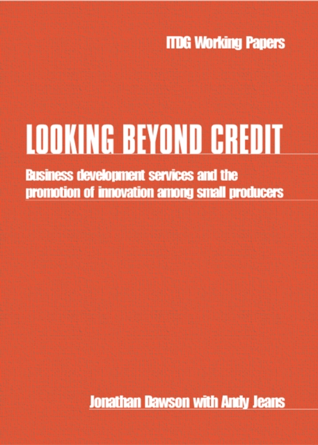 Looking Beyond Credit : Business development services and the promotion of innovation among small producers, Paperback / softback Book