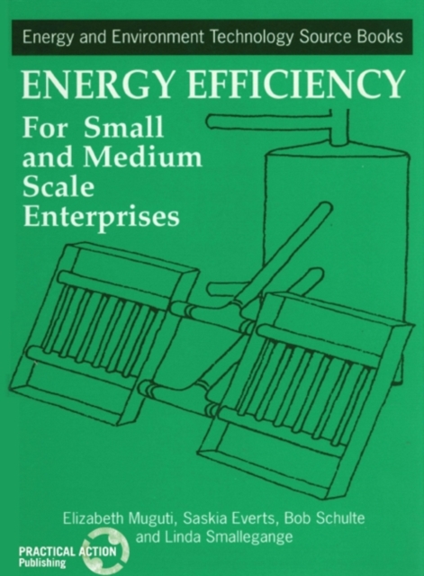 Energy Efficiency for Small and Medium Enterprises, Paperback / softback Book