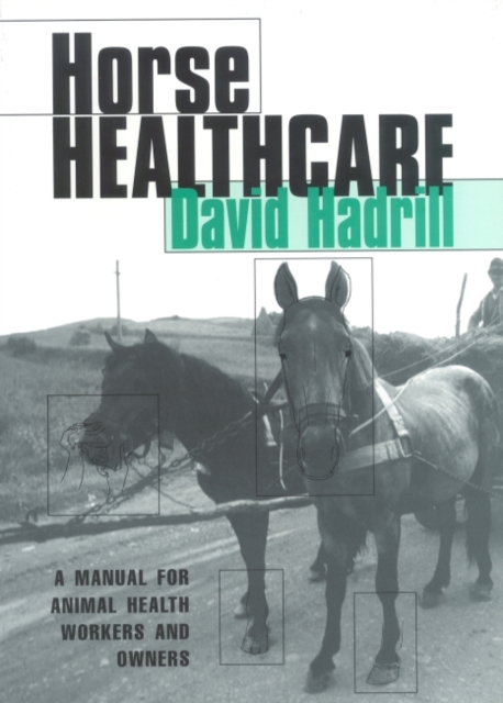 Horse Healthcare : A manual for animal health workers and owners, Paperback / softback Book